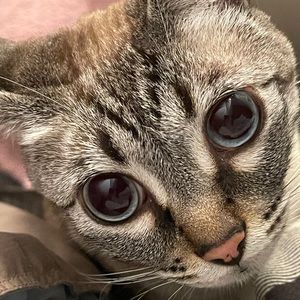 Meet your Posher, Jolie